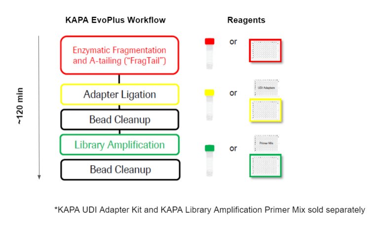 Kapa Evoplus V Kits Roche Sequencing Store