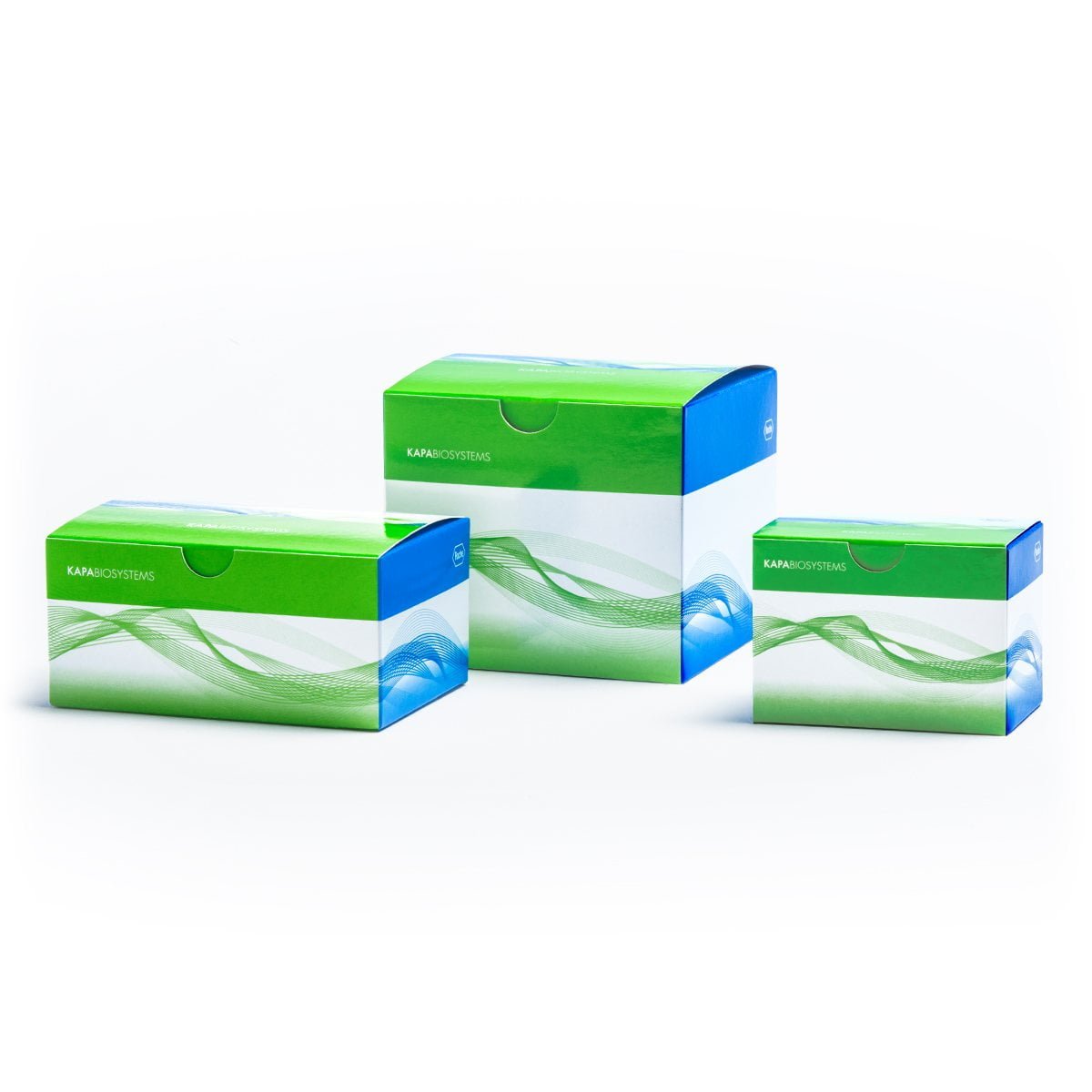 KAPA Unique DualIndexed Adapter Kit (15 μM) (virtual kit) Roche