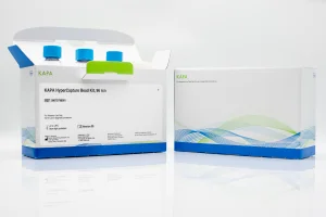 KAPA HyperCapture Bead kit