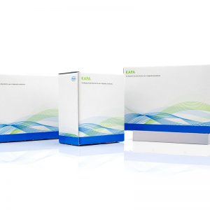 Kapa Ngs Ffpe Dna Qc Kit Roche Sequencing Store