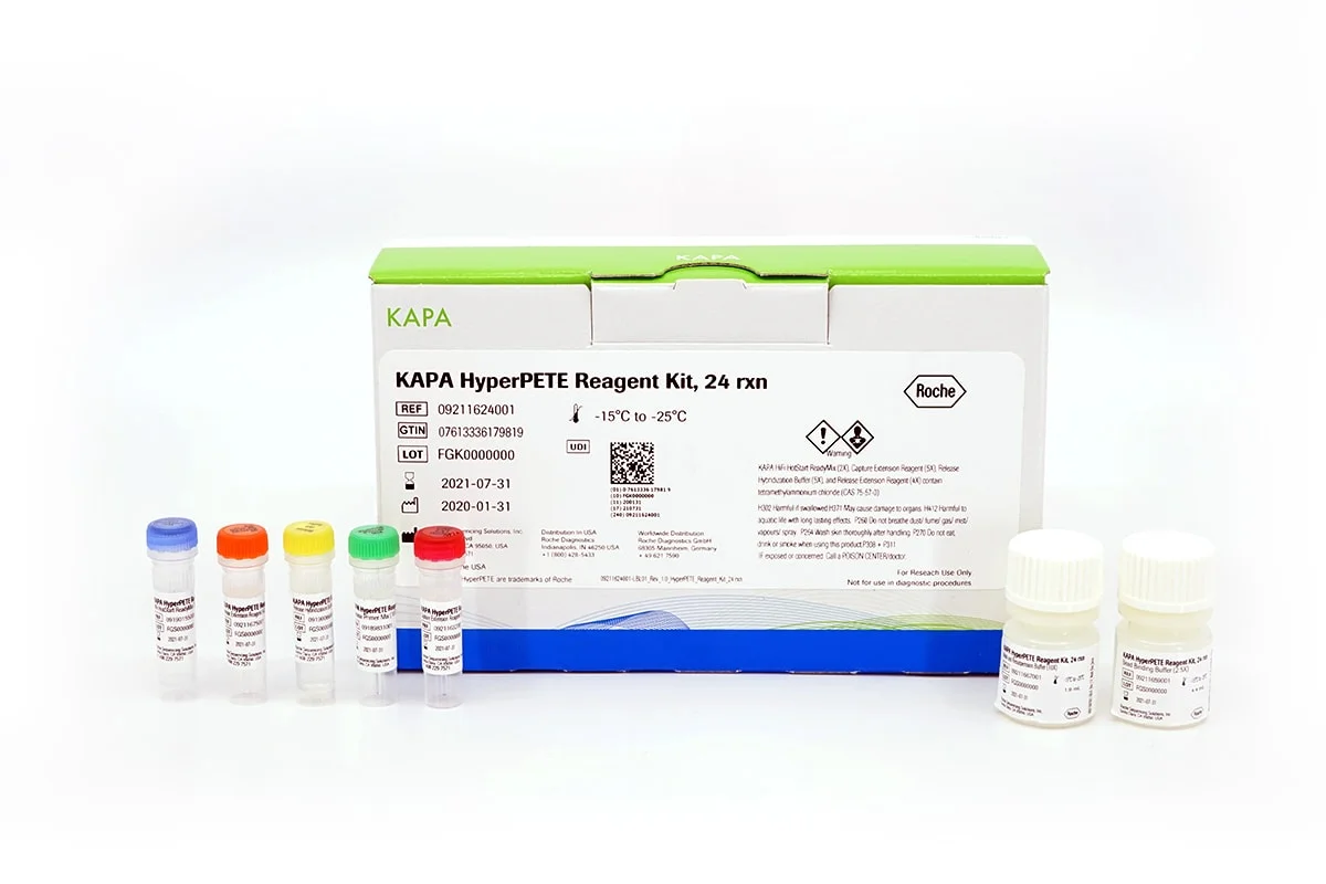 KAPA HyperPETE Reagent Kit