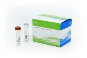 KAPA NGS DNA Extraction Kit