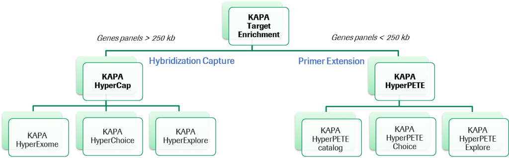 KAPA Target Enrichment Portfolio Selection