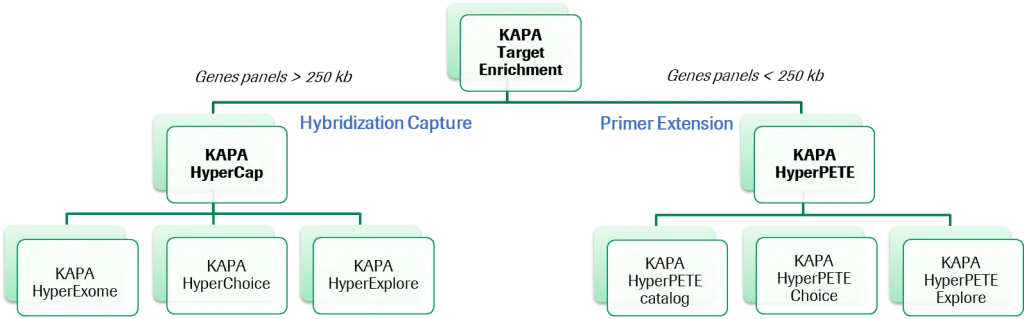KAPA Target Enrichment Portfolio Selection