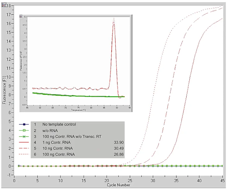 Control reaction with PBGD primers using LightCylcer ® FastStart DNA Master SYBR Gree