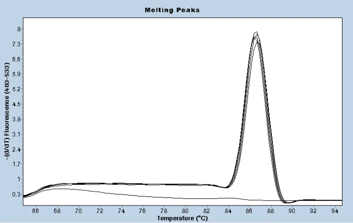 Melting curve analysis of amplified samples with cDNA derived from 5 × 10 5 , 5 × 10 4 , 5 × 10 3 , 5 × 10 2 , and 50 copies of in vitro transcript as starting templa