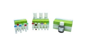 KAPA RNA EvoPrep Kit with RiboErase (HMR)