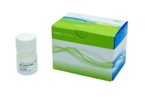 KAPA EvoAmp ReadyMix powered by KAPA HiFi